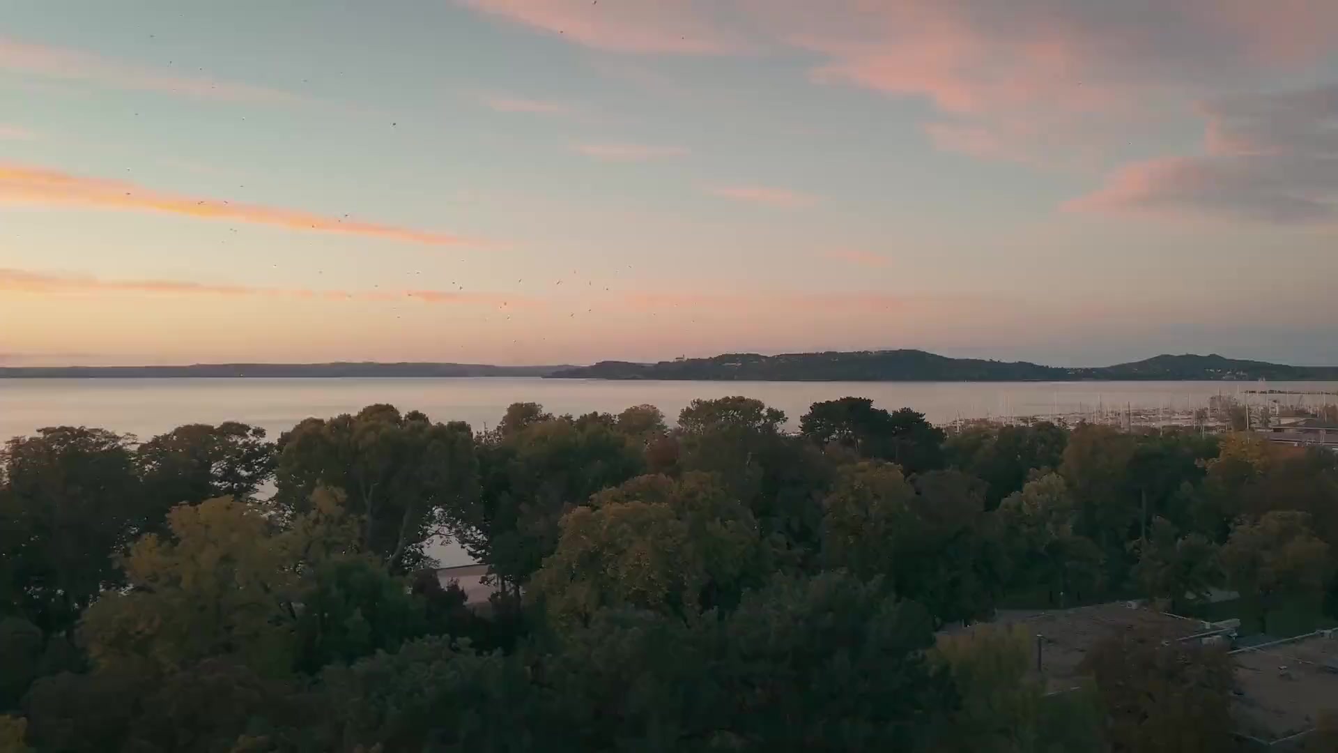 BFCC Hero Background